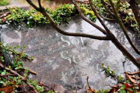friedhof