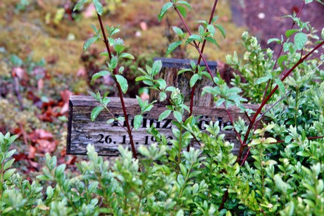 friedhof