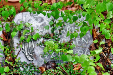 friedhof
