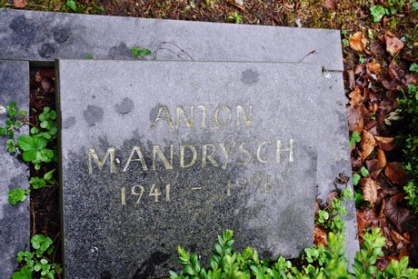 friedhof