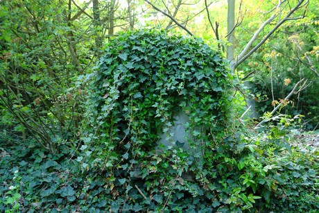 westfriedhof