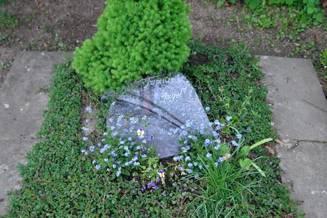 westfriedhof