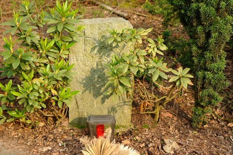 westfriedhof