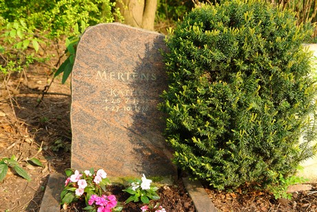 westfriedhof