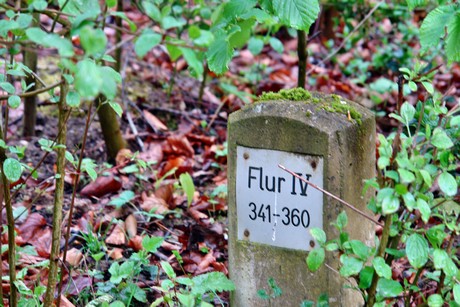 westfriedhof