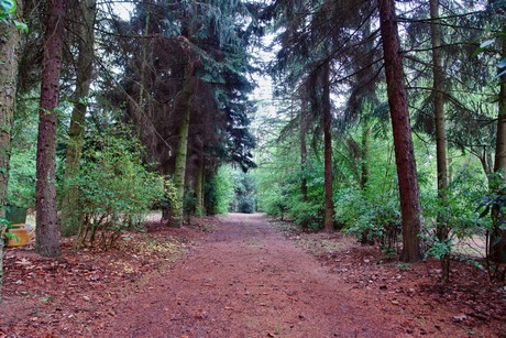 westfriedhof