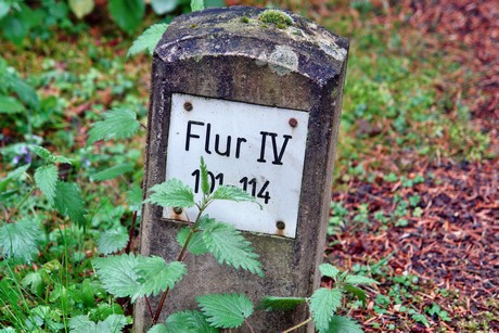 westfriedhof