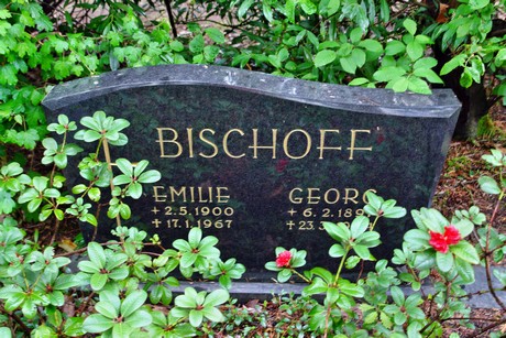 westfriedhof