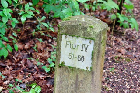westfriedhof