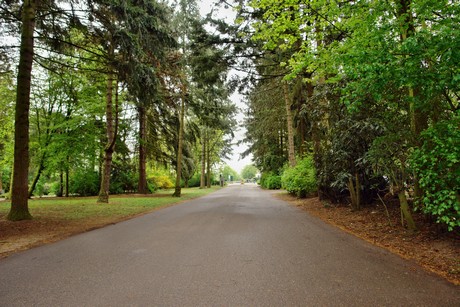 westfriedhof