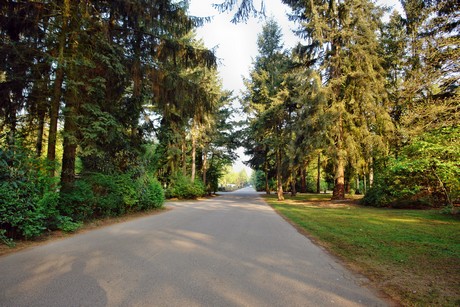 westfriedhof