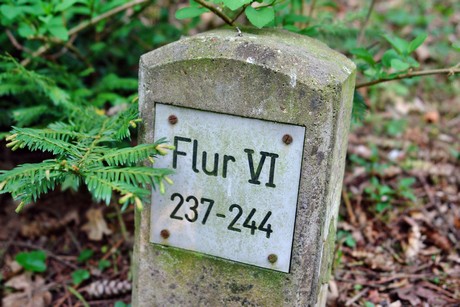 westfriedhof