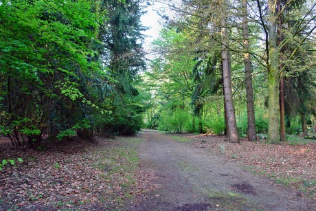 westfriedhof