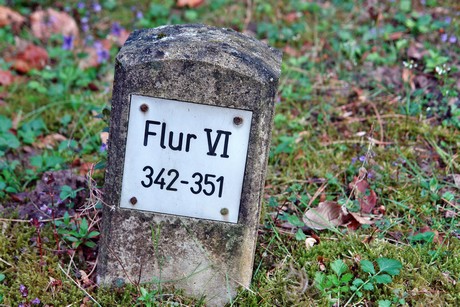 westfriedhof