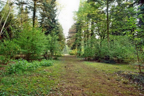westfriedhof