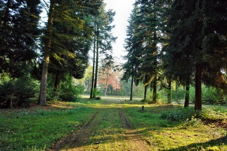 westfriedhof