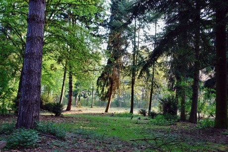 westfriedhof