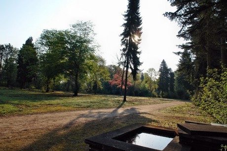 westfriedhof