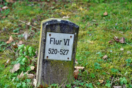 westfriedhof