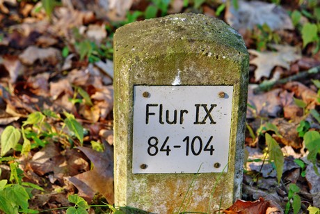 westfriedhof