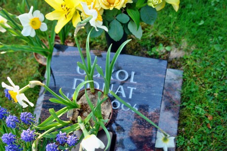 westfriedhof