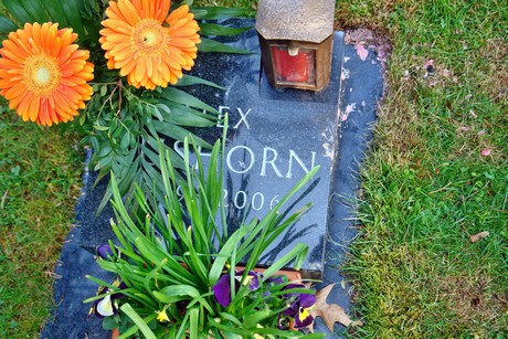westfriedhof