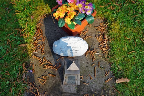 westfriedhof