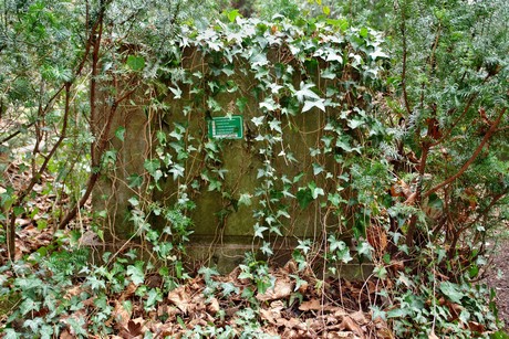 westfriedhof