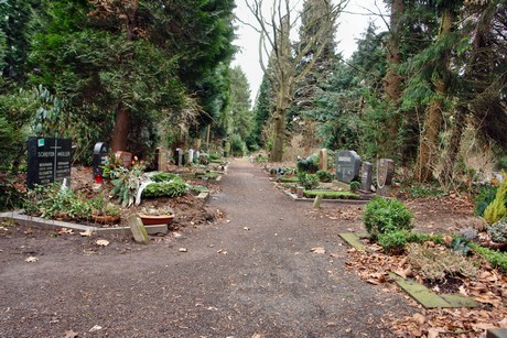 westfriedhof