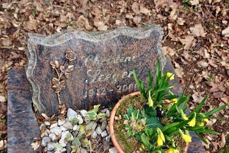 westfriedhof