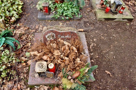 westfriedhof
