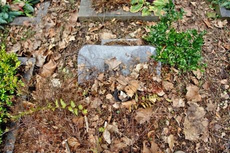 westfriedhof