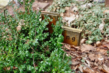 westfriedhof