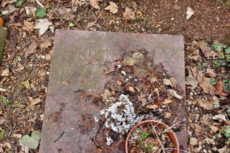 westfriedhof