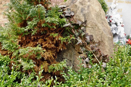 westfriedhof