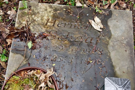 westfriedhof