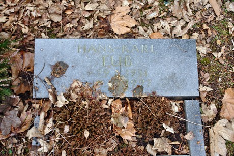 westfriedhof