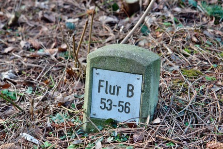 feld-b
