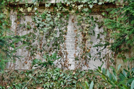 feld-b