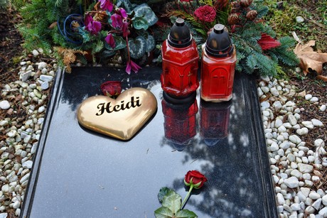 feld-b
