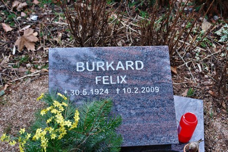 feld-b
