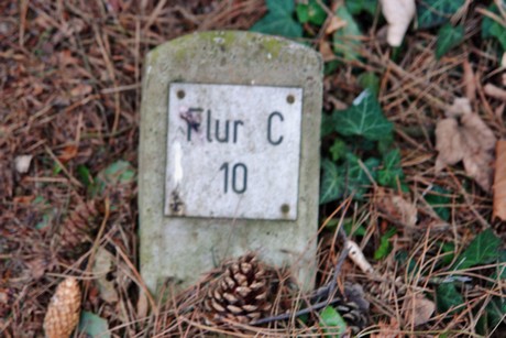 feld-c