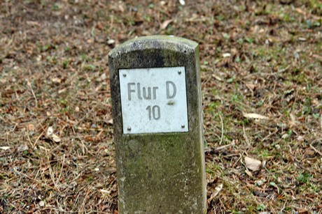 feld-d