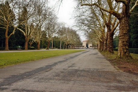 feld-d