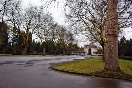 feld-e