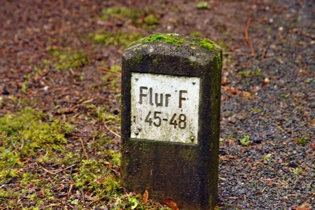 feld-f