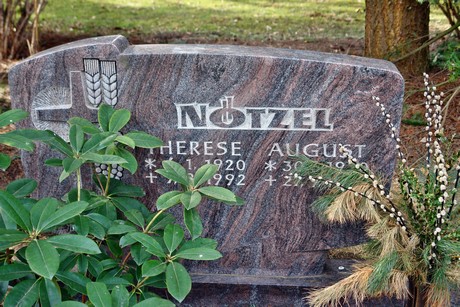 friedhof