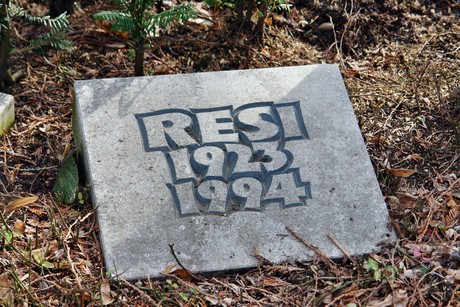 friedhof