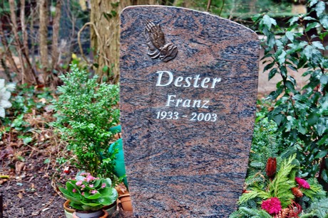 friedhof