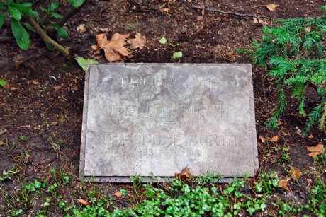 friedhof